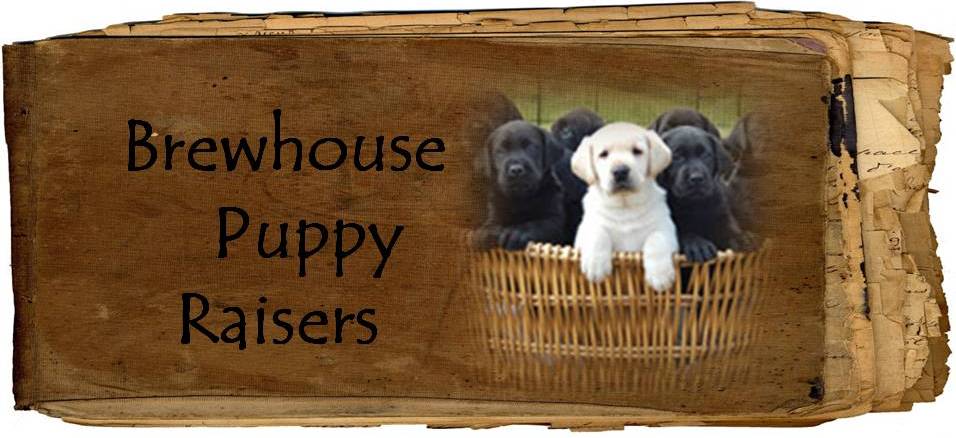 Brewhouse puppy raisers