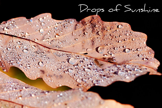 Drops of Sunshine