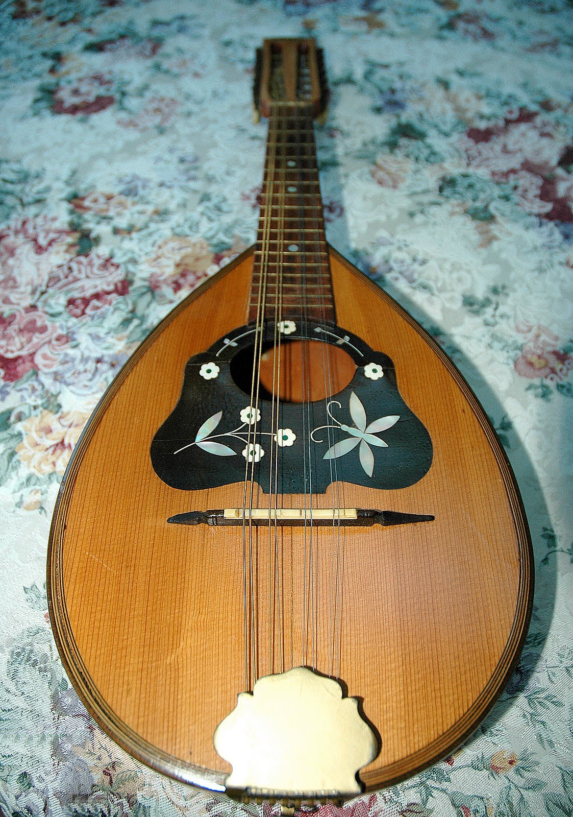 DISSENT the BLOG The old mandolin