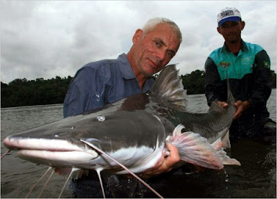 piraiba catfish 9 Monster Sungai Yang Mengerikan di Dunia