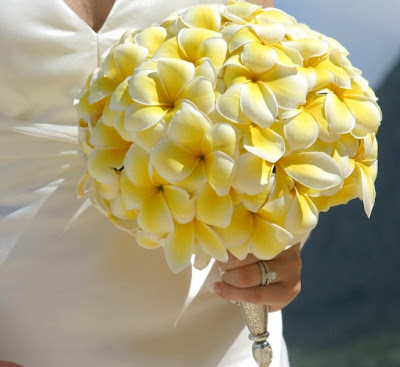 Happy Cloud Moments: ~ Thinking about Frangipani Bouquets for My Wedding
