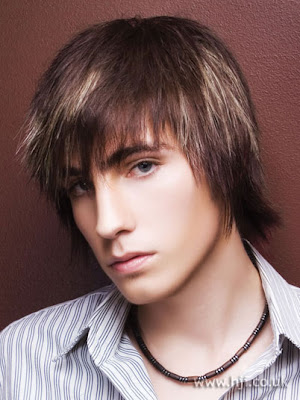 brown hair with blonde highlights men