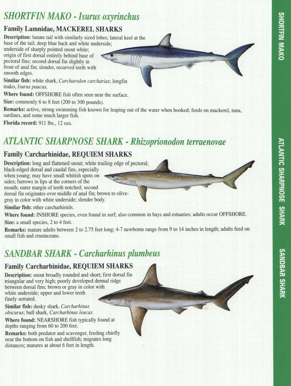 Crystal River Fishing Report Florida Gulf Fish Identification Charts
