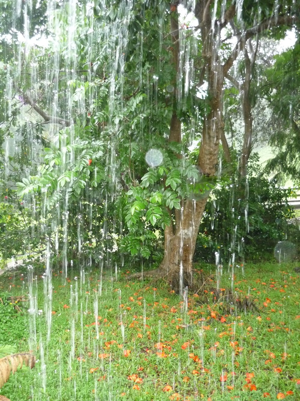 [Rainy+days!.JPG]