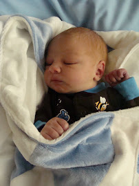 1 Day Old
