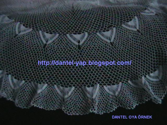 [IMGA0350.JPG]
