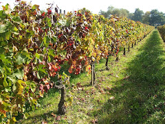 palette d'automne