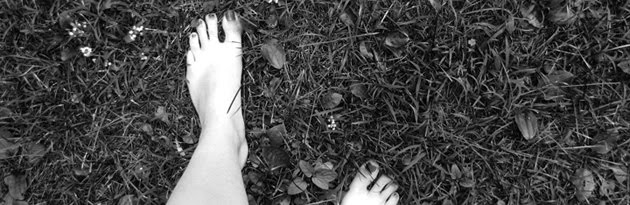 . . . the WILD ride . . .