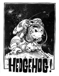 Space Hedgehog