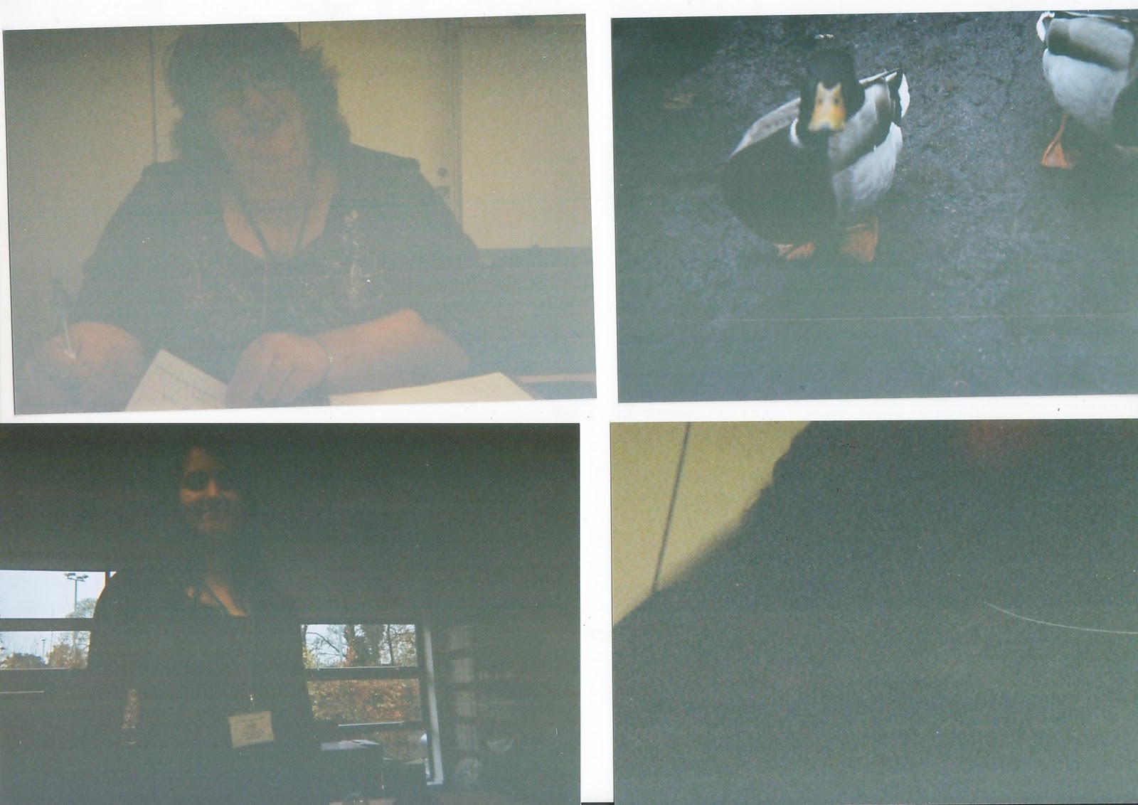 Disposable Camera Results at Leroy Perez blog