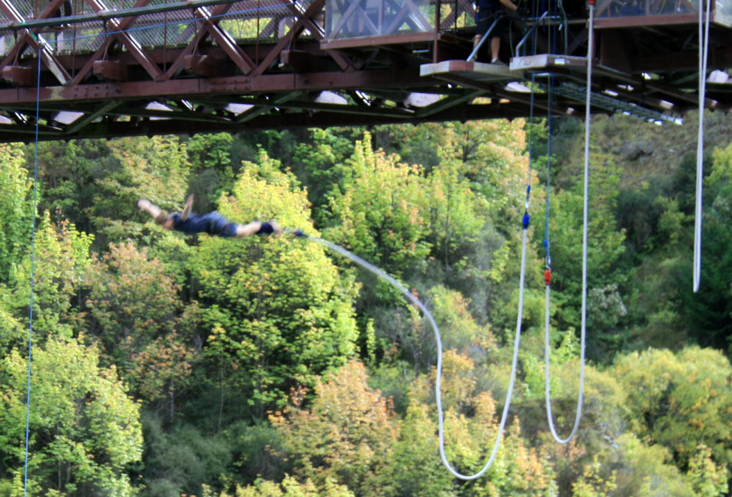 [Bungy2.jpg]
