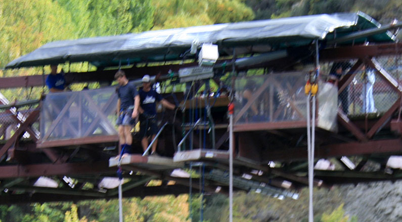 [Bungy0.jpg]