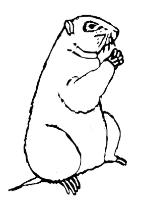 7 Groundhog Coloring Pages Collection