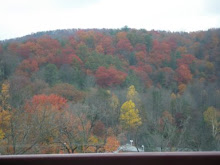 FALL IN TENNESEE
