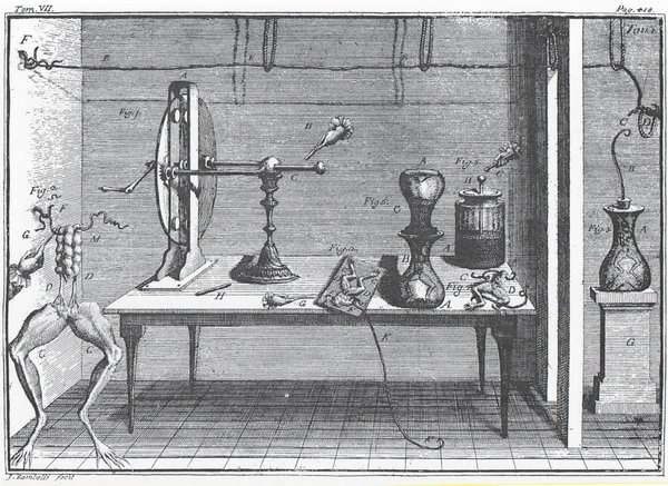 [experience+Galvani.jpg]