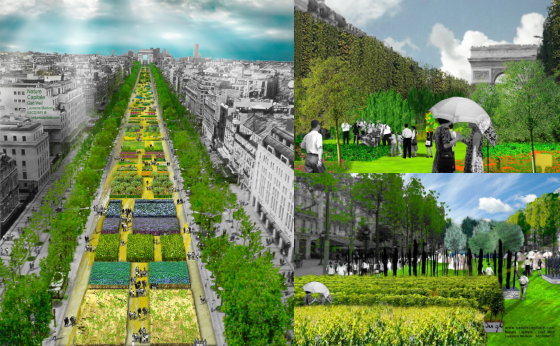Nature Capitale : un jardin extraordinaire aux Champs Elysées