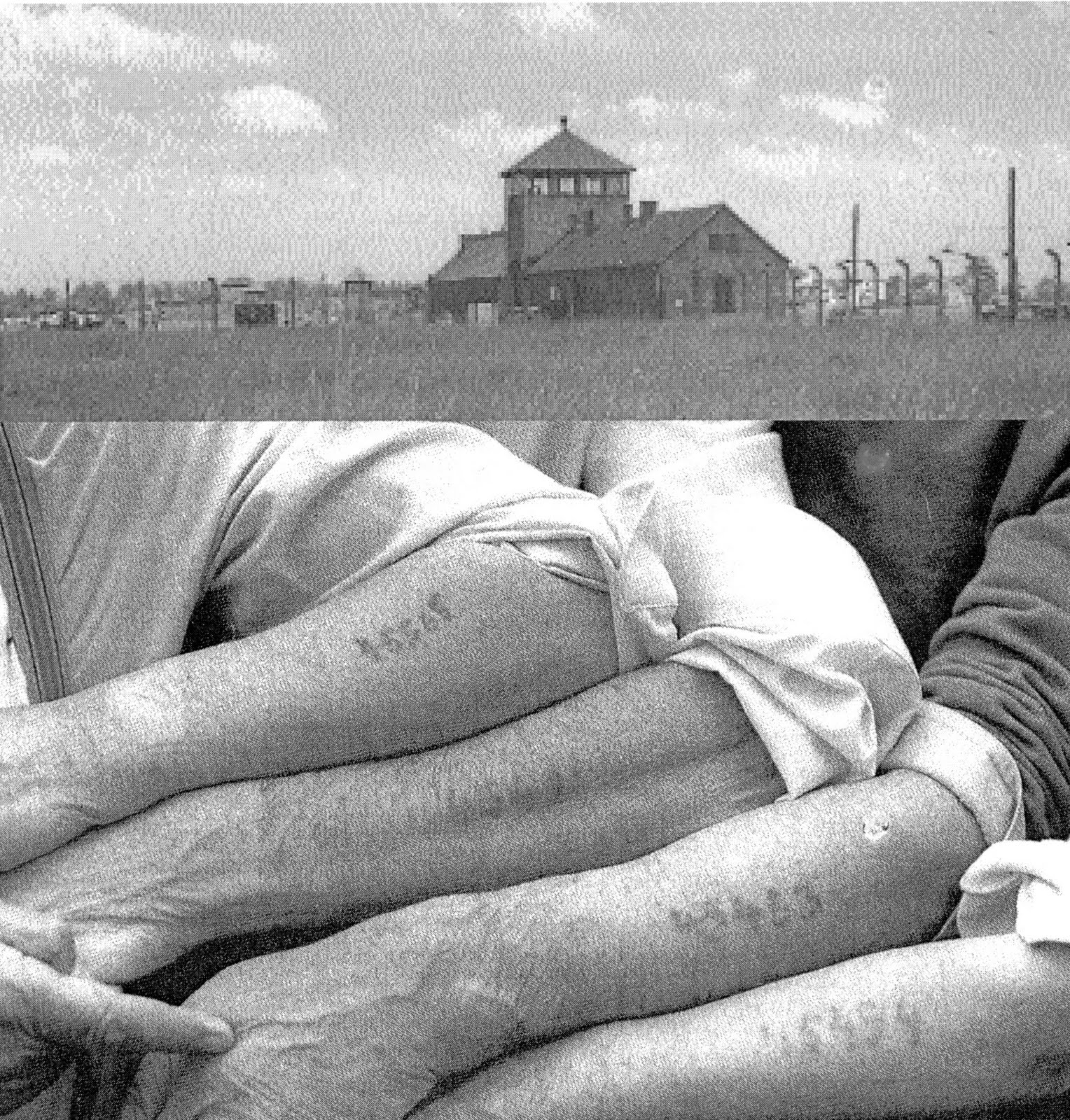 Deportes Politiques A Auschwitz Le Convoi Du 6 Juillet 1942 Dit Des 45000 Resume Des Chapitres De Triangles Rouges A Auschwitz