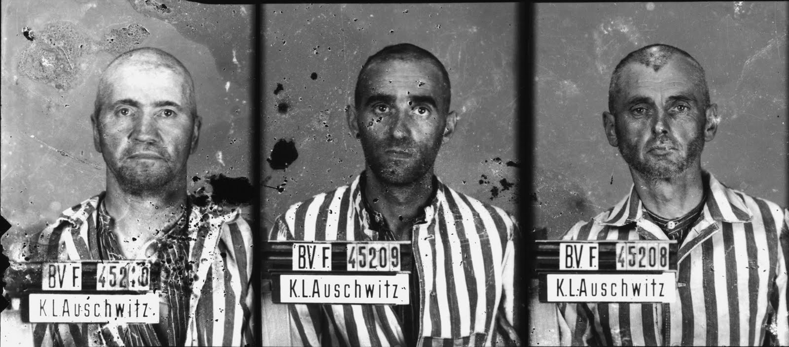 Deportes Politiques A Auschwitz Le Convoi Du 6 Juillet 1942 Dit Des 45000 A Propos Des Dates De Deces Des 45000