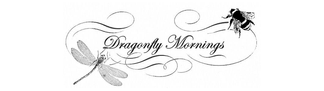 Dragonfly Mornings