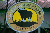 night safari