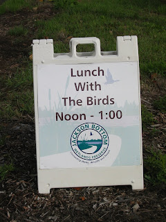Lunch with the Birds