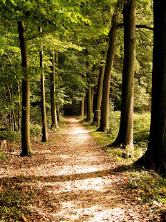 Best men dating profile examples