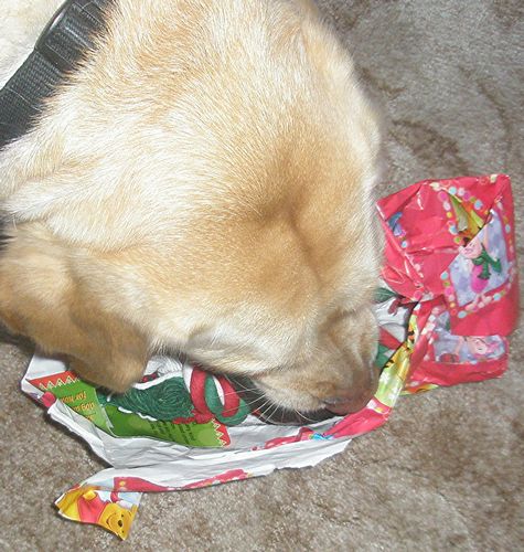 [tn_HSMS+SOS+2008+01+06.jpg]