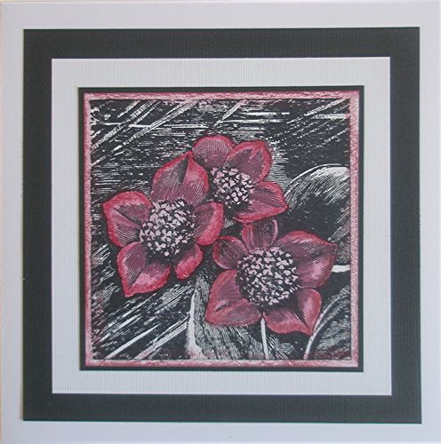 [tn_2008+02+16+JB+black+&+white.jpg]