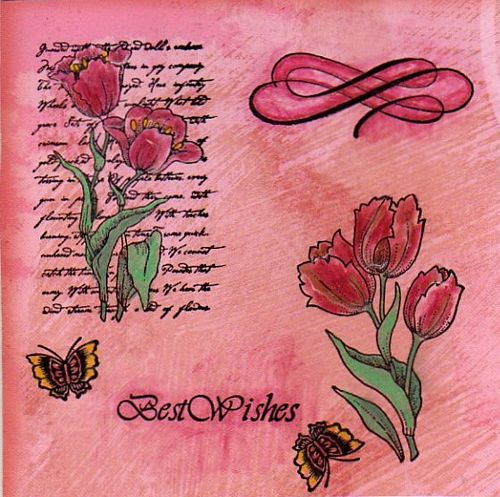 [tn_2008+04+Tanda+summer+competition+scan1.jpg]