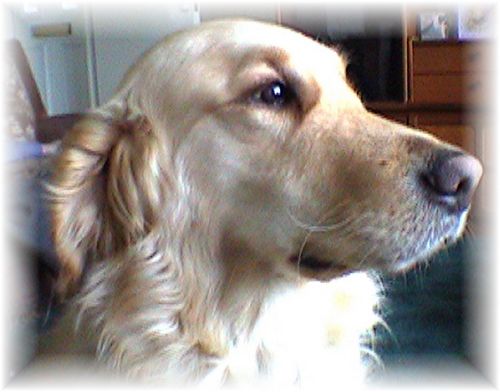 [tn_2008+04+19+SPS.jpg]