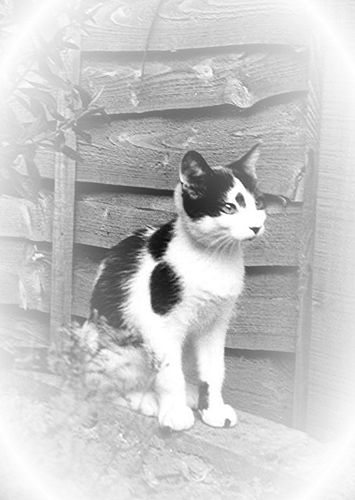 [tn_2008+05+03+SPS.jpg]