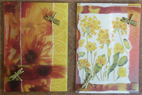 [tn_2008+06+and+05+atcs.jpg]