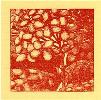 [tn_2008+06+stamp+swap+3.jpg]