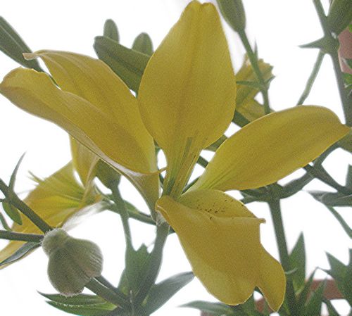 [tn_2008+08+24+SOS+2.jpg]