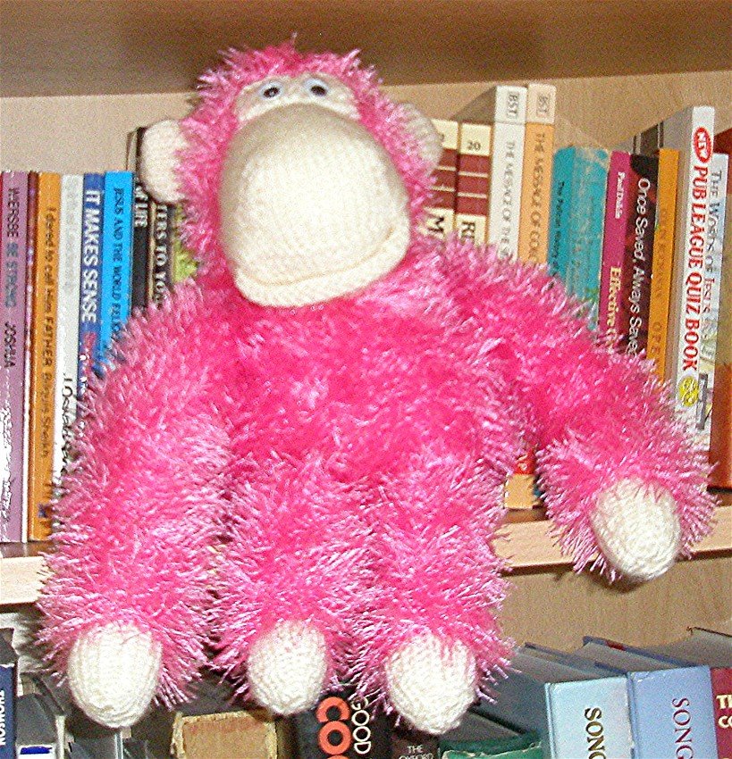 [Ellie+on+bookshelf+close.jpg]