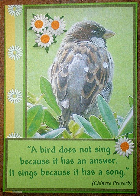 [2008+10+23+bird+song+1.jpg]