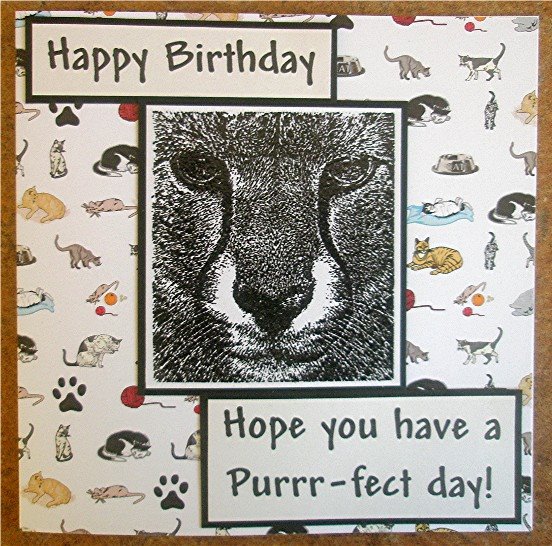 [2008+10+24+Friday+challenge+10+October+animals.jpg]