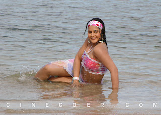 Farzana Gallery, Farzana Latest Stills Gallery, Farzana Hot Photo