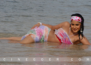 Farzana Gallery, Farzana Latest Stills Gallery, Farzana Hot Photo