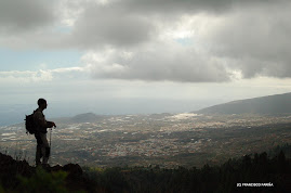 VALLE DE GÜIMAR