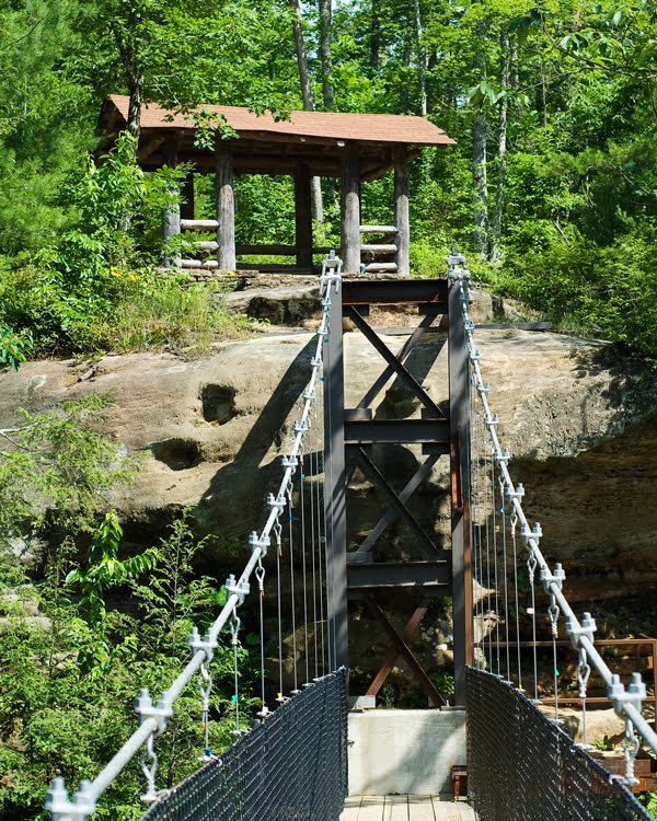 Meadows Photography Camping at Pickett State Park