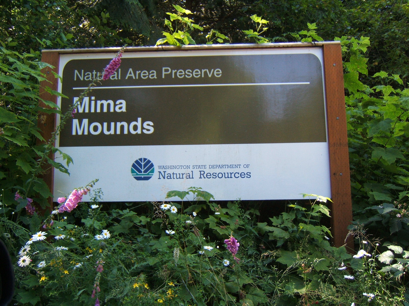 Matthew's Washington Trip: Mima Mounds Natural Area Preserve