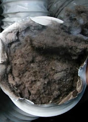 What's in Your Dryer Vent?