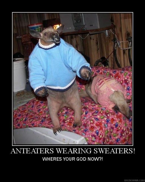 http://3.bp.blogspot.com/_3IjRgoGWUBo/SqQQGgRCDMI/AAAAAAAAAYc/6diUYISaIpE/s1600/anteaters-wearing-sweaters.jpg
