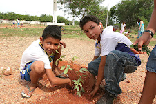 Plantando para o futuro (Parque Zé Bolo Flô)