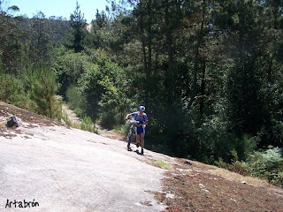 Carballés subindo polas pedras dos Montes do Gato