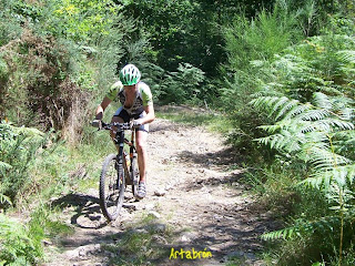 Subiendo por el bosque