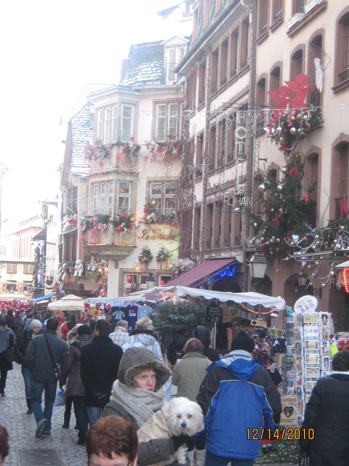 RatsRunThisTown: Strasbourg Christmas market 2010