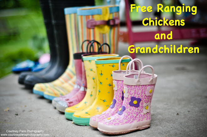 Free Ranging Chickens and Grandchildren