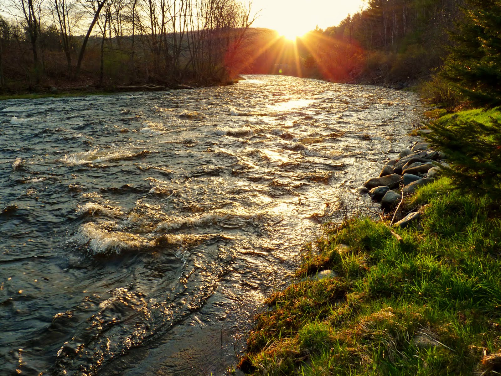Back Road Journal Moose River Sunset